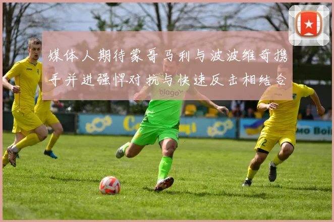 媒体人期待蒙哥马利与波波维奇携手并进强悍对抗与快速反击相结合
