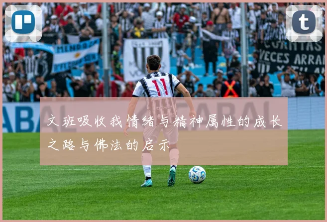 文班吸收我情绪与精神属性的成长之路与佛法的启示