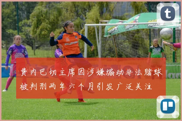 费内巴切主席因涉嫌煽动非法赌球被判刑两年六个月引发广泛关注